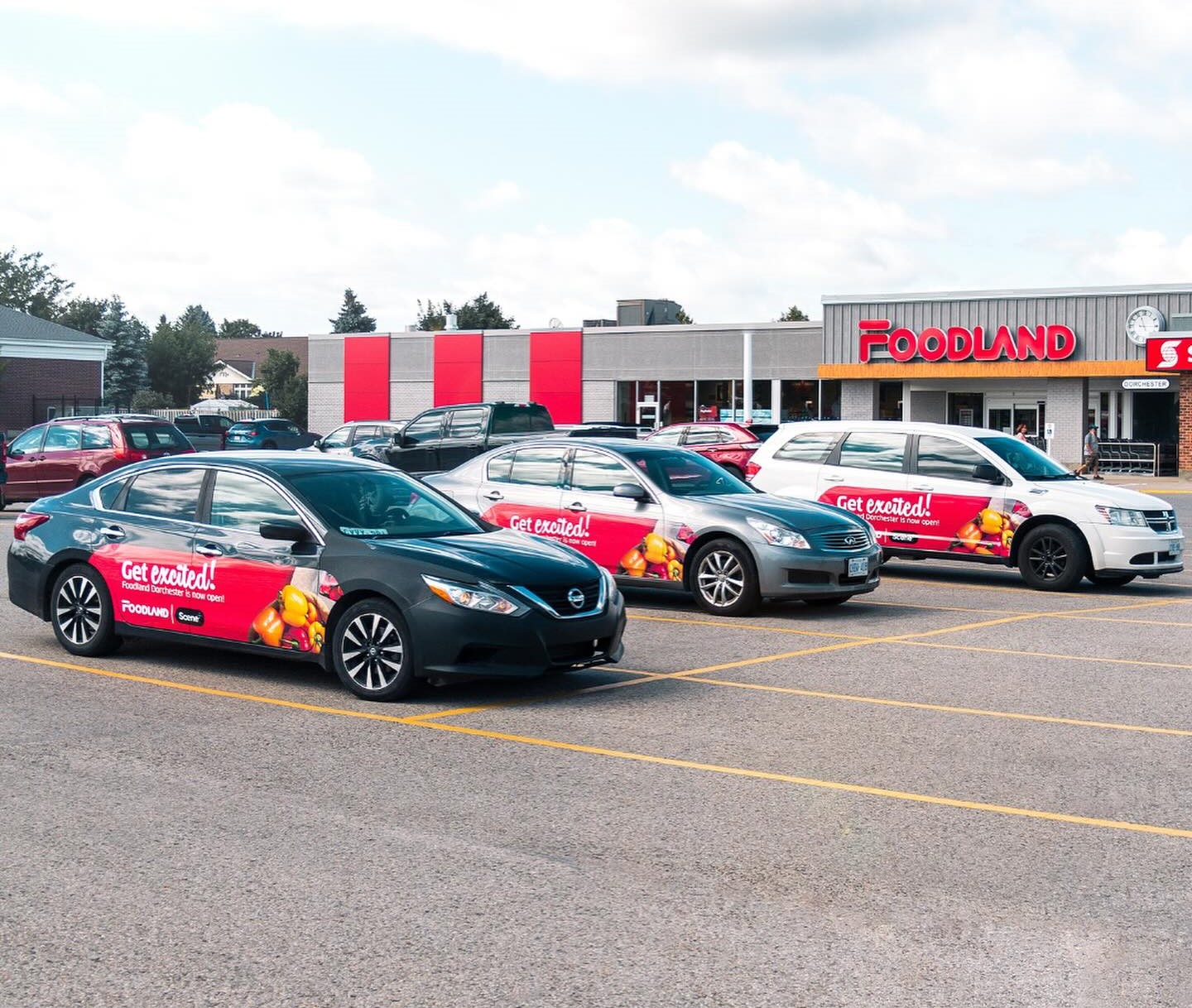 A row of vehicles fully wrapped in Foodland advertising